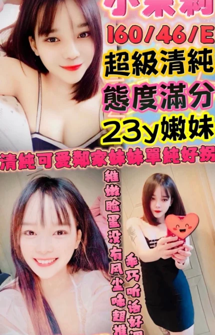 新竹定點茶-小茉莉/160/46/23/E