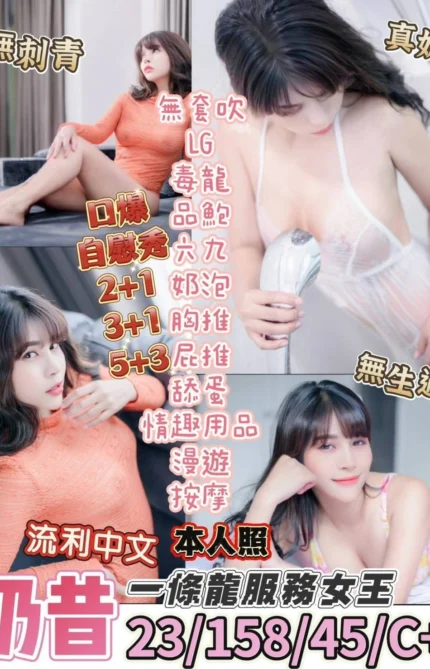 台東定點茶-奶昔/158/45/23/C