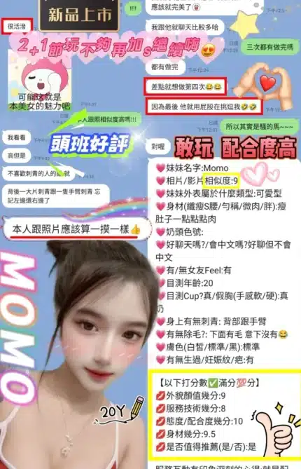 新竹定點茶-MOMO/160/48/20/C