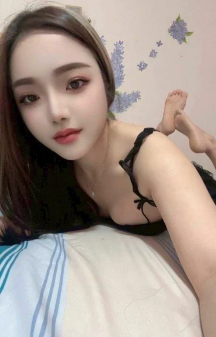 新竹定點茶-采穎/152/42/25/C