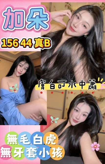 桃園定點茶-加朵/156/44/?/B