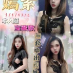 台中定點茶-嫣紫/154/43/?/E