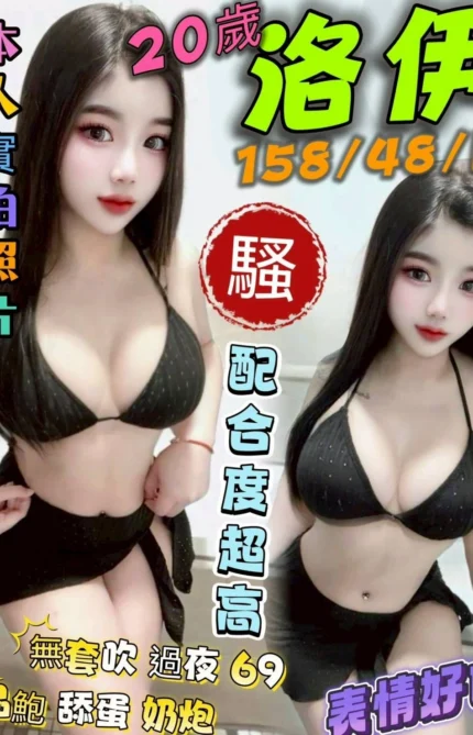 台南定點茶-洛伊/158/48/20/D