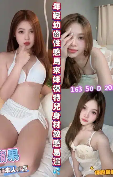 嘉義定點茶-蘋果/163/50/20/D