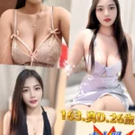 新北定點茶-落雪/163/51/26/D