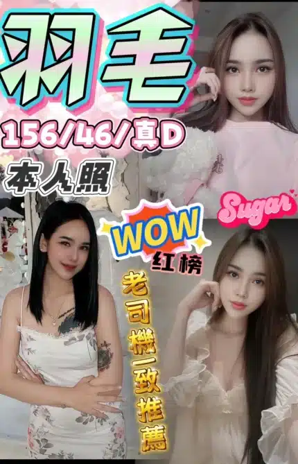 台中定點茶-羽毛/156/46/?/D