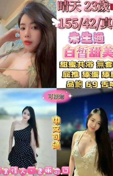 台北定點茶-晴天/155/42/23/D