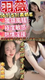 新竹定點茶-羽薇/161/51/22/E