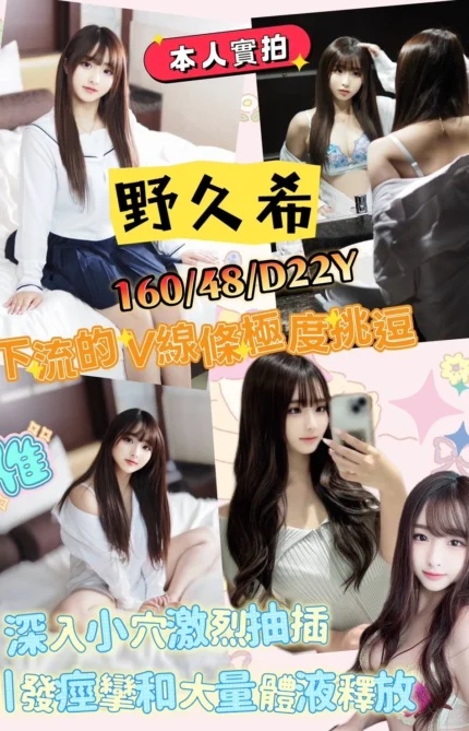 新竹定點茶-野久希/160/48/22/D