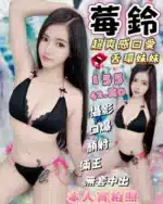 台中定點茶-莓鈴/155/42/?/D