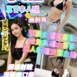 新北定點茶-小甜/156/43/21/C