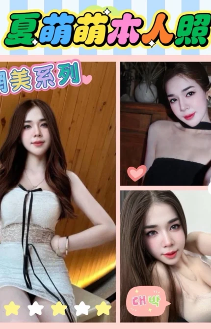 台東定點茶-夏萌萌/153/43/?/E