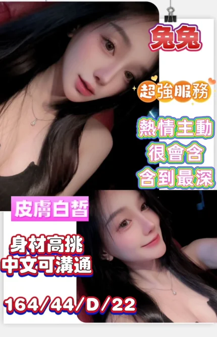 台南定點茶-兔兔/164/44/22/D