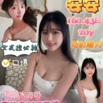 台南定點茶-安安/160/43/20/E