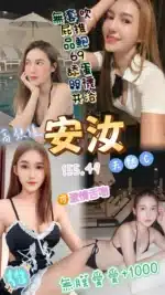 桃園定點茶-安汝/155/49/22/C