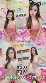 桃園定點茶-珍香/155/45/25/D