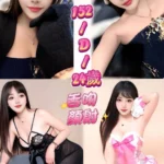 新北定點茶-紗里/152/42/24/D