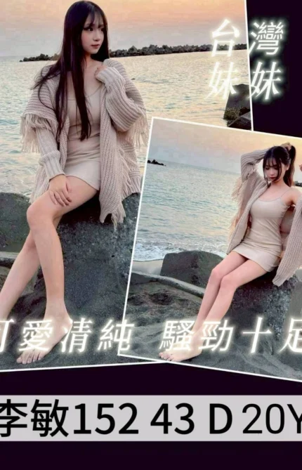 桃園外送茶-李敏/152/43/20/D