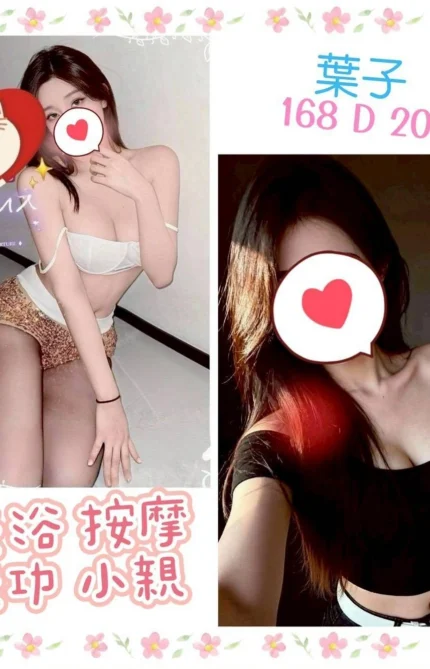 台北定點茶-葉子/168/?/20/D