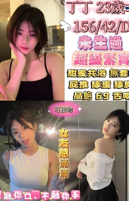 台北定點茶-丁丁/156/42/23/D