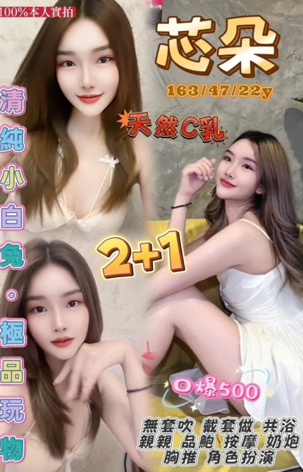 桃園定點茶-芯朵/163/47/22/C