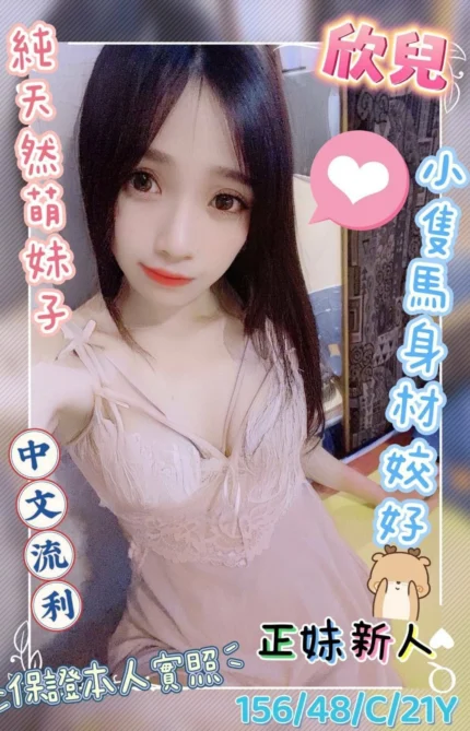 嘉義定點茶-欣兒/156/48/21/C