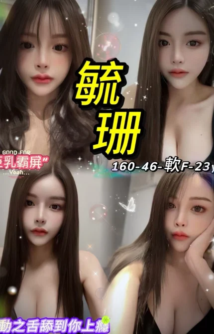 台北定點茶-毓珊/160/46/23/F