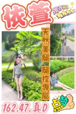 台中定點茶-依萱/162/47/?/D