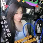 高雄外送茶-小洛伊/155/43/22/C