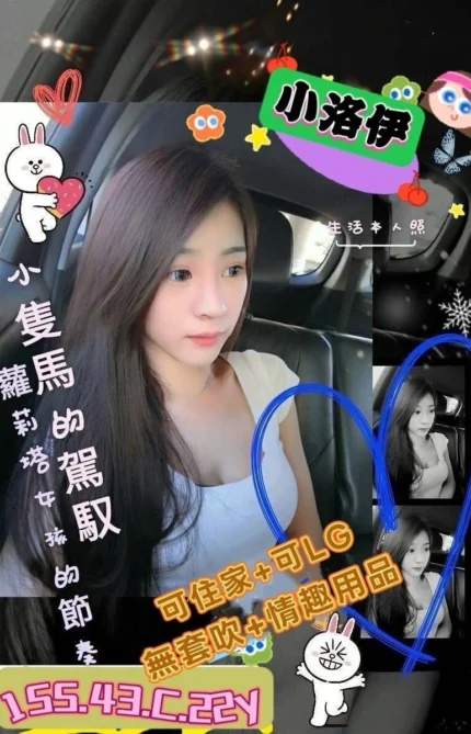 高雄外送茶-小洛伊/155/43/22/C