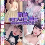 桃園定點茶-雨參/157/45/19/C