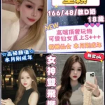 桃園定點茶-星穎/166/48/18/D