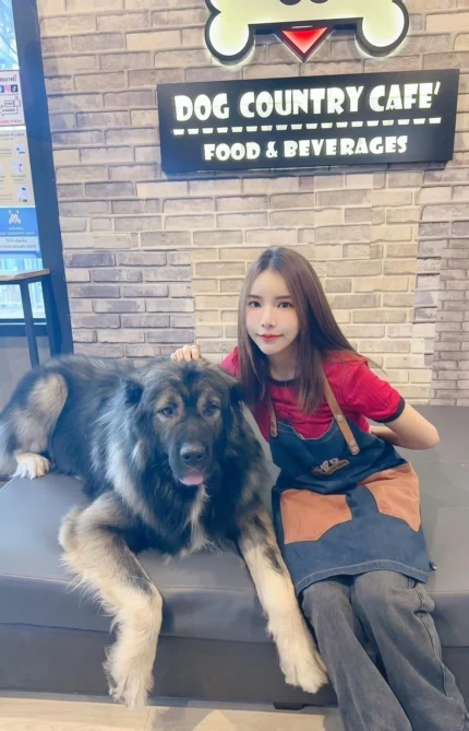 台北定點茶-愛莉莎莎/156/47/23/E