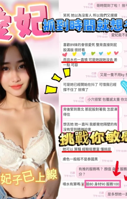 新竹定點茶-愛妃/160/50/23/D