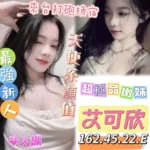 台南定點茶-艾可欣/162/45/22/E