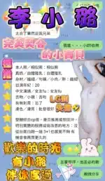 高雄定點茶-李小璐/163/43/19/E