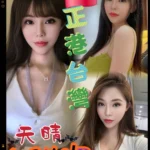 桃園定點茶-天晴/163/48/?/D