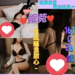 台北定點茶-菀菀/161/47/26/C