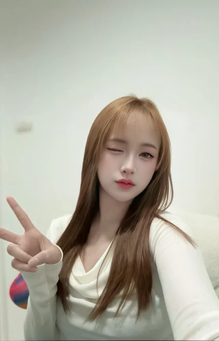 嘉義定點茶-蘋果/155/45/20/C