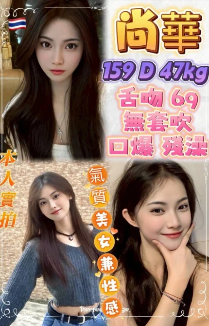 新北定點茶-尚華/159/47/22/D