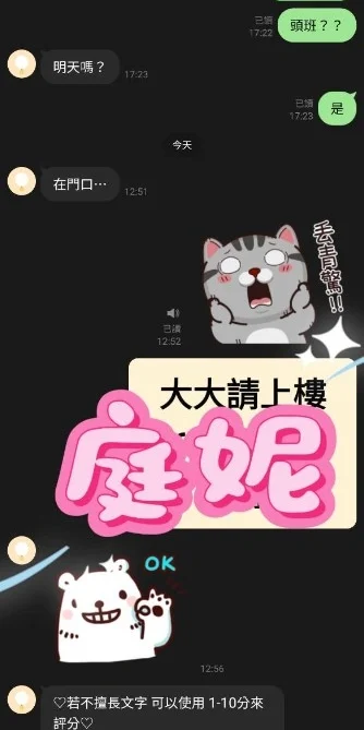 桃園定點茶-庭妮/155/43/22/E