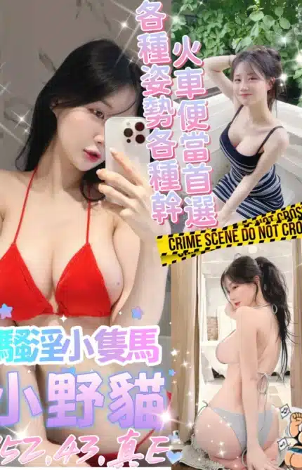 台中定點茶-小野貓/152/43/?/E