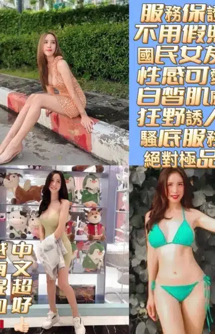 台南定點茶-艾櫻桃/165/52/22/D