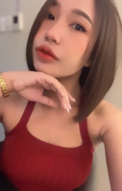 新竹定點茶-奧麗芙/160/48/24/B