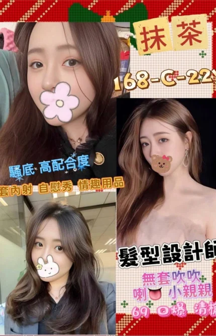 台北定點茶-抹茶/168/55/22/C