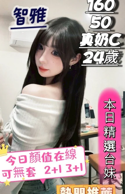 台中定點茶-智雅/160/50/24/C