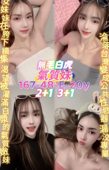 桃園定點茶-氣質妹/167/48/20/E