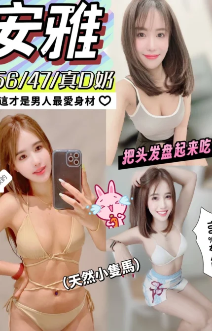 嘉義定點茶-安雅/156/47/?/D