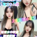 嘉義定點茶-星文/162/47/21/F