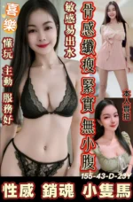 台南定點茶-喜樂/155/43/23/D